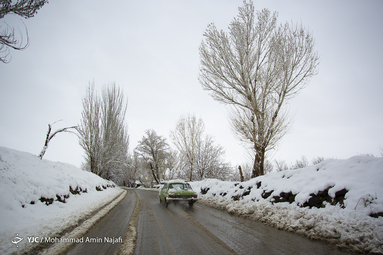 بارش نخستین برف بهاری در همدان + تصویر