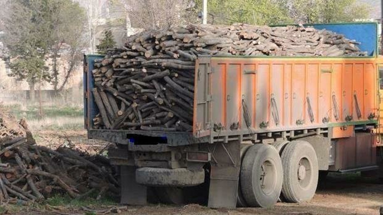 کشف ۷۰ تن الوار چوب قاچاق در میاندوآب