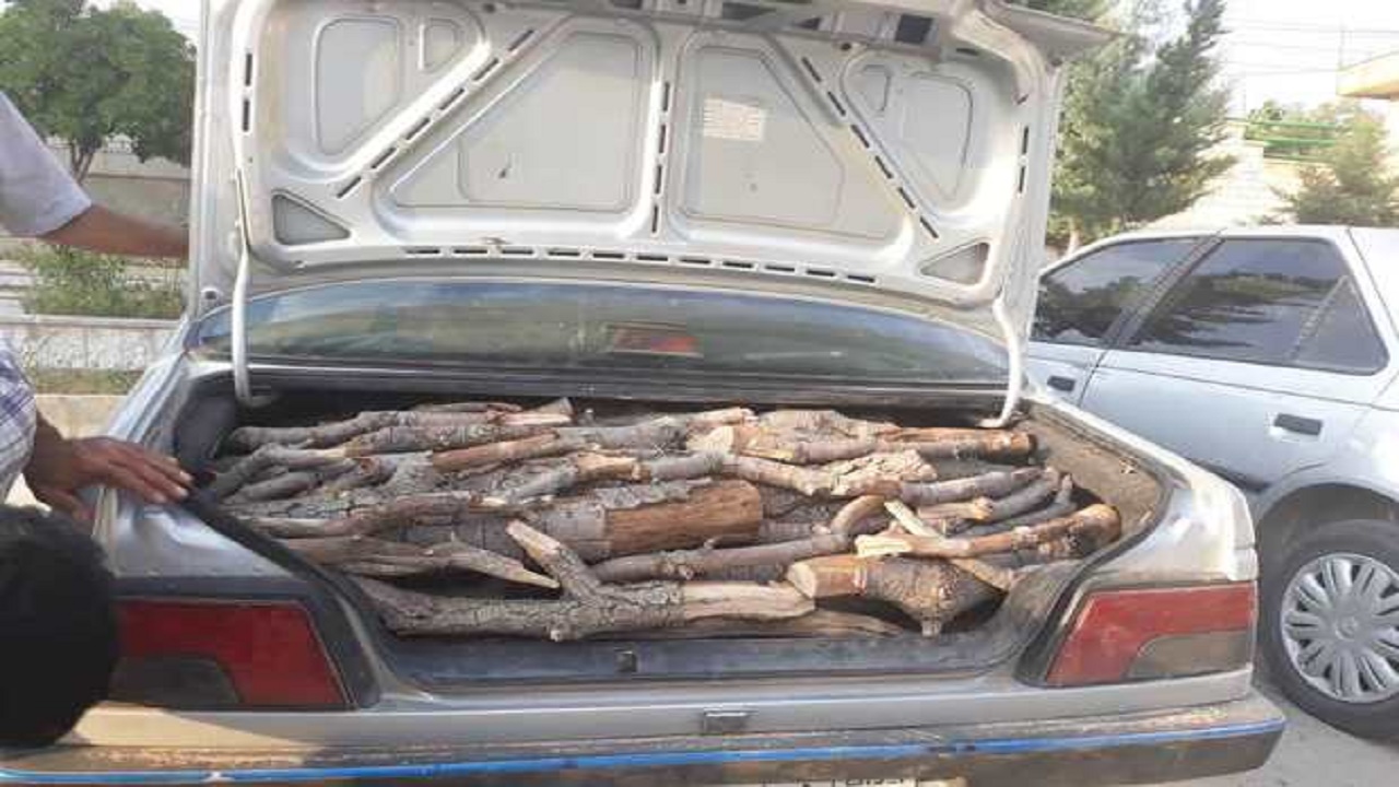 کشف محموله کالای قاچاق خارجی از یک کامیون کاویان در "اصفهان/ کشف ۵۲۰ کیلو چوب جنگلی قاچاق در سمیرم