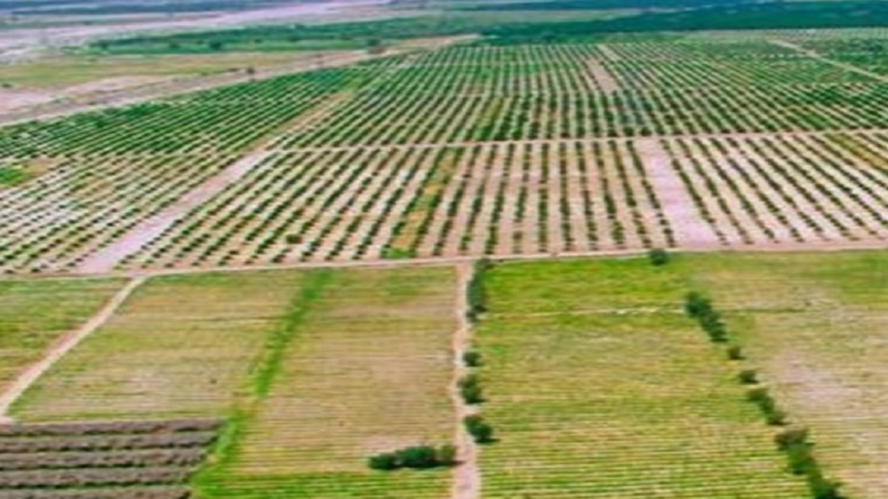 اجرای طرح ممیزی مراتع در اراضی ملی لارستان
