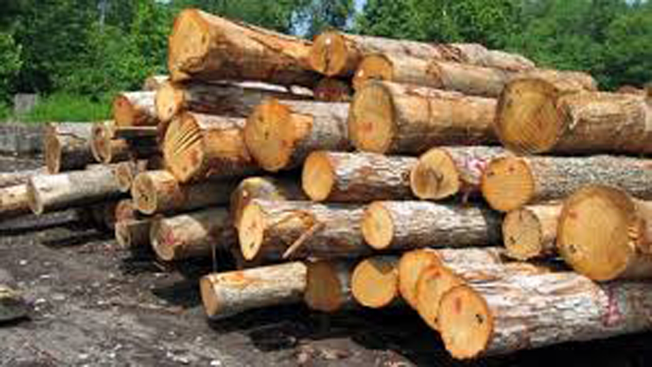 توقیف محموله چوب جنگلی قاچاق در بوانات