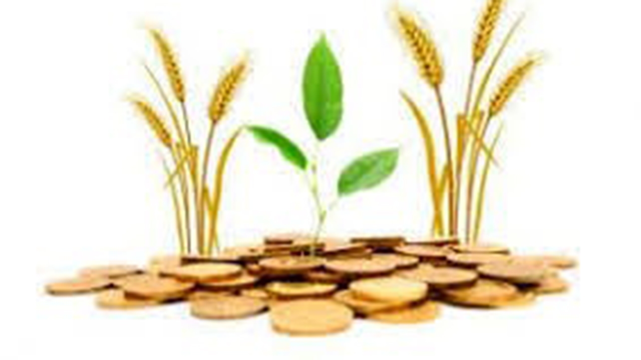 رشد ۵۸ درصدی پرداخت تسهیلات سلف کشاورزی برای محصولات راهبردی