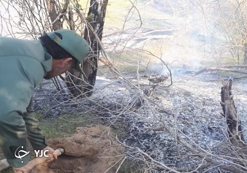 آتش سوزی در جنگل ام الدبس مهار شد/ حفاظت از جنگل با تشکیل کارگروه ویژه
