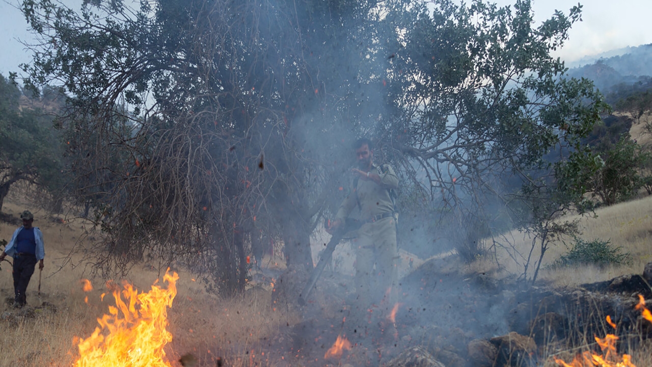 مهار آتش در مناطق جنگلی استان گیلان/۵۲ هکتار از مراتع و جنگل‌ها در آتش سوختند