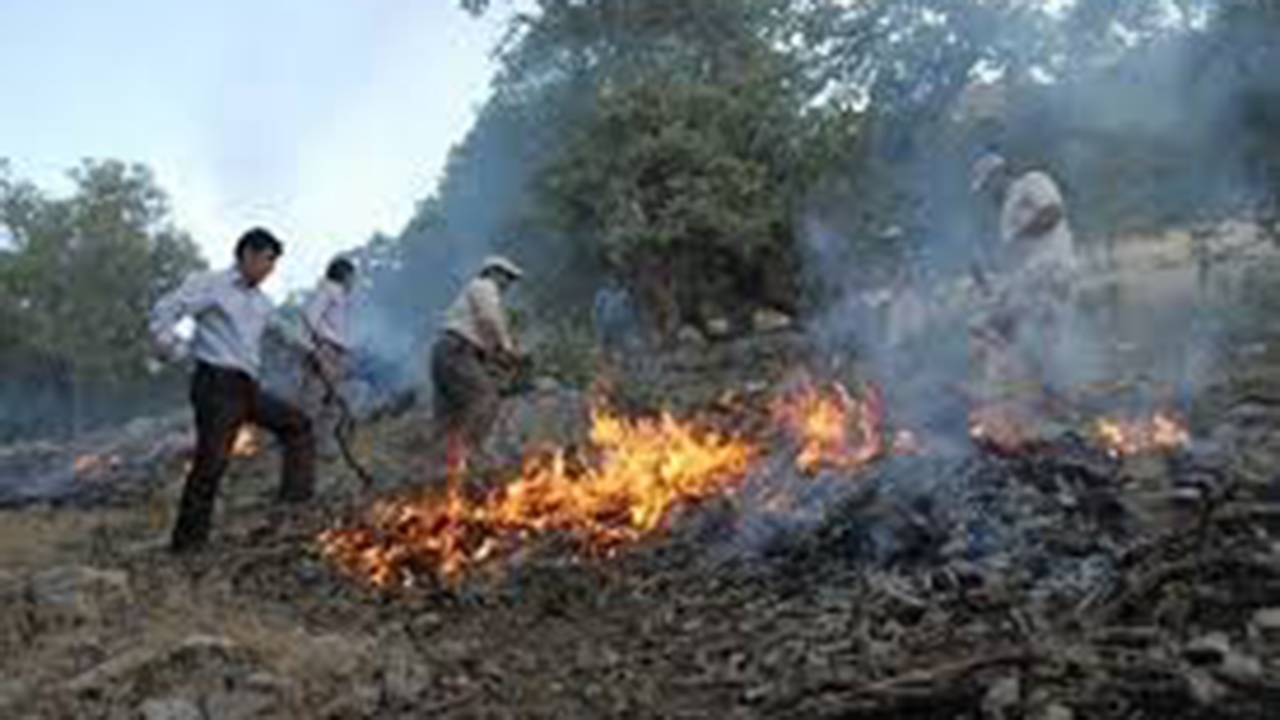 آتش سوزی ۷۱ هکتار از جنگل های گلستان در یک هفته
