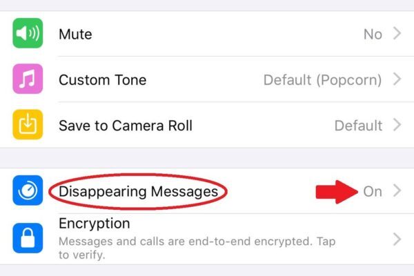 9 ترفند کاربردی در واتساپ؛ از حذف خودکار پیام تا تنظیم پس زمینه برای چت‌ها