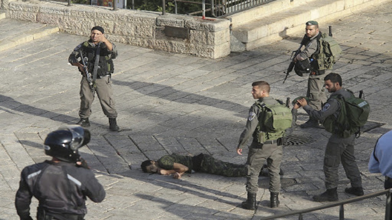 بازداشت هشت جوان فلسطینی از سوی نظامیان صهیونیست