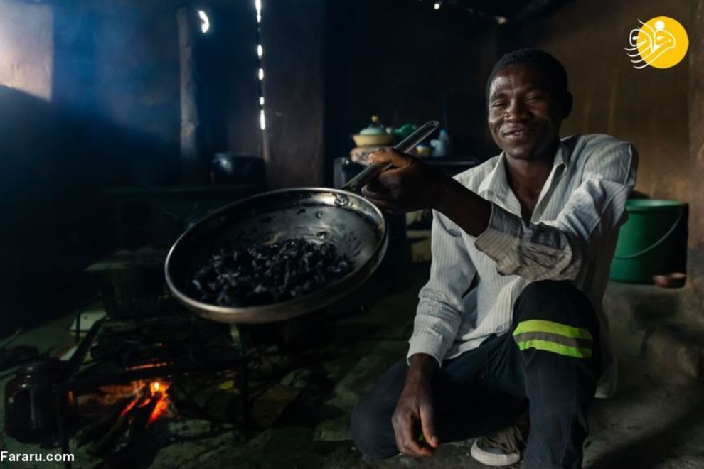 سوسک، غذای مورد علاقه اهالی یک روستا در زیمباوه + تصاویر