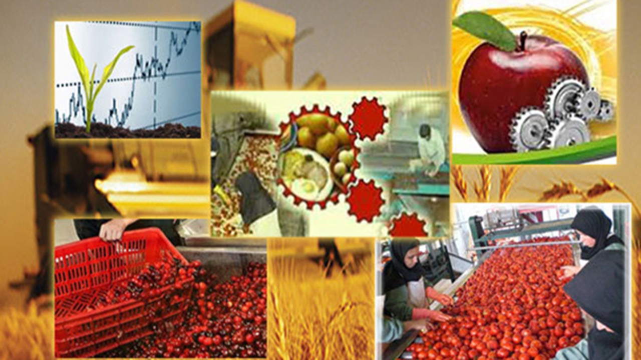 توسعه صنایع تبدیلی و تکمیلی کشاورزی در کازرون