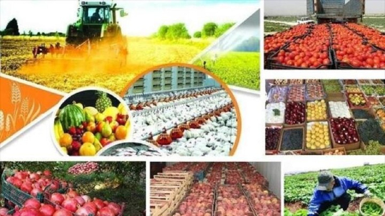 خرید توافقی بیش از ۲۰۰ تن محصول زراعی و باغی