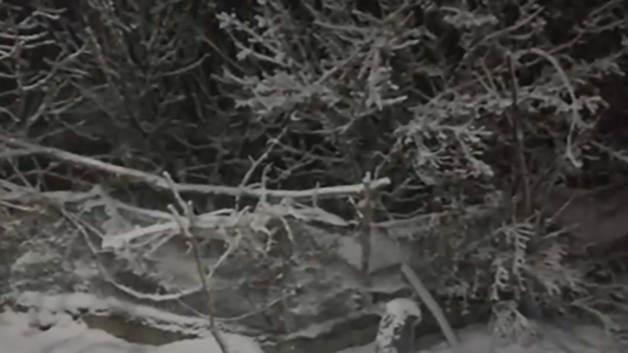 بارش برف در «صومای برادوست» + فیلم