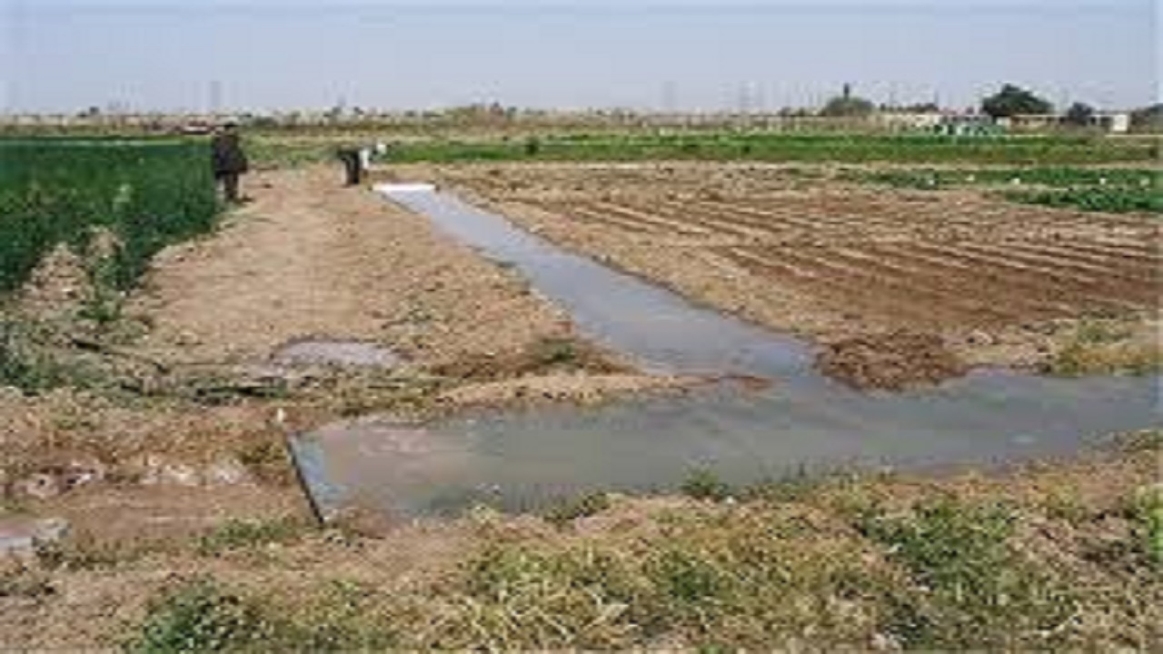 صدور سند برای ۲۷۰ هزار هکتار از اراضی کشاورزی سیستان و بلوچستان