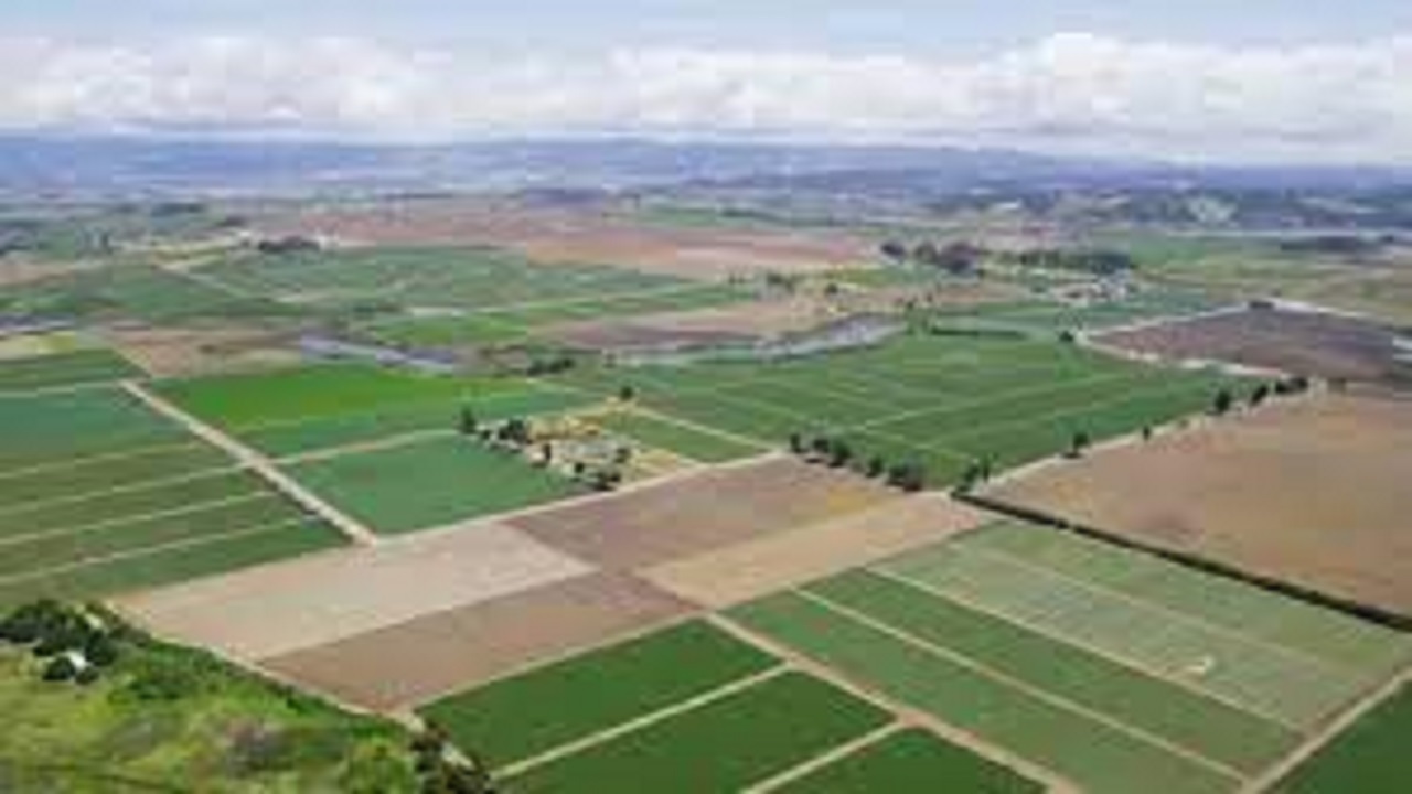 اجرای طرح کاداستر در ۴۴۰ هزار هکتار از اراضی کشاورزی