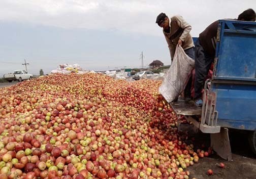 تلخ شدن شیرینی سیب در کام باغداران استان های غرب کشور/ سیب‌های که بجای فروش در بازار شب عید به ضایعات می‌شوند