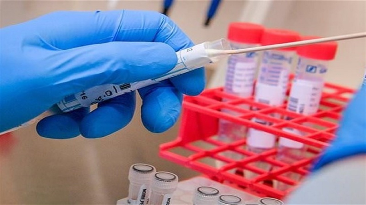 انتقال ژن انسان به موش برای بررسی واکسن‌های کرونا