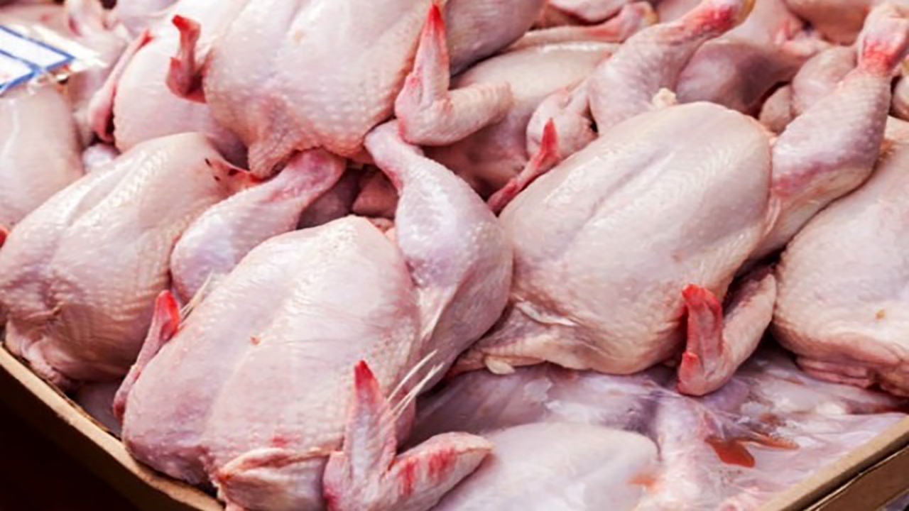 توزیع روزانه ۳۲۰ تن مرغ گرم برای جلوگیری از التهاب بازار در گیلان