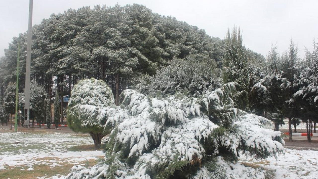 بارش برف منطقه کویری زرند کرمان را سفید پوش کرد + فیلم