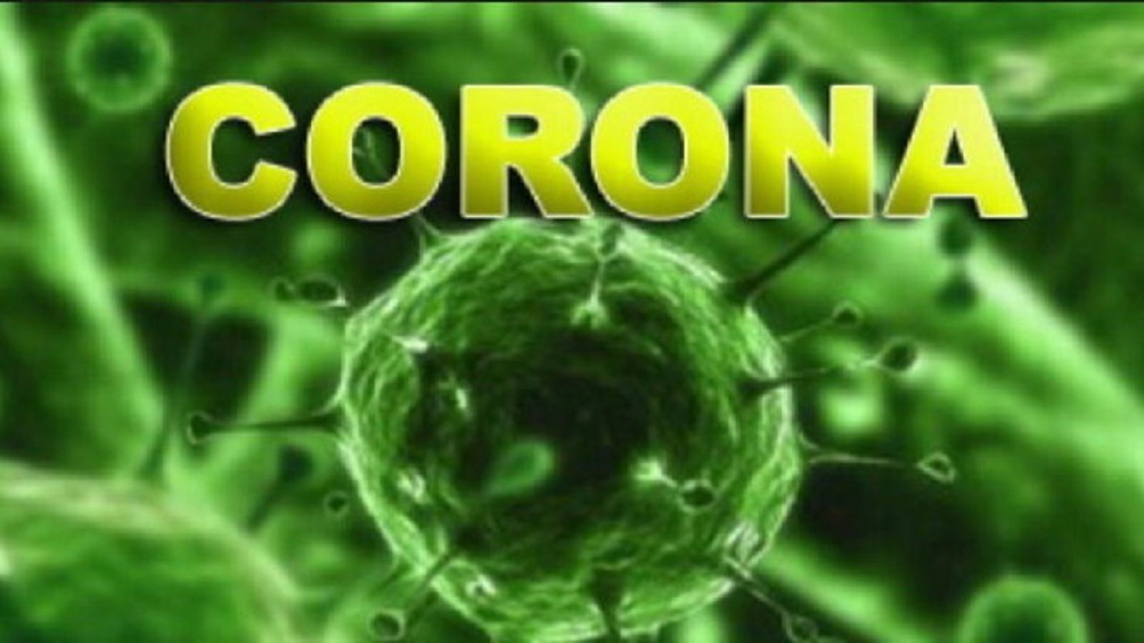 شناسایی ۶۶ مورد جدید مبتلا به کرونا ویروس در ایلام