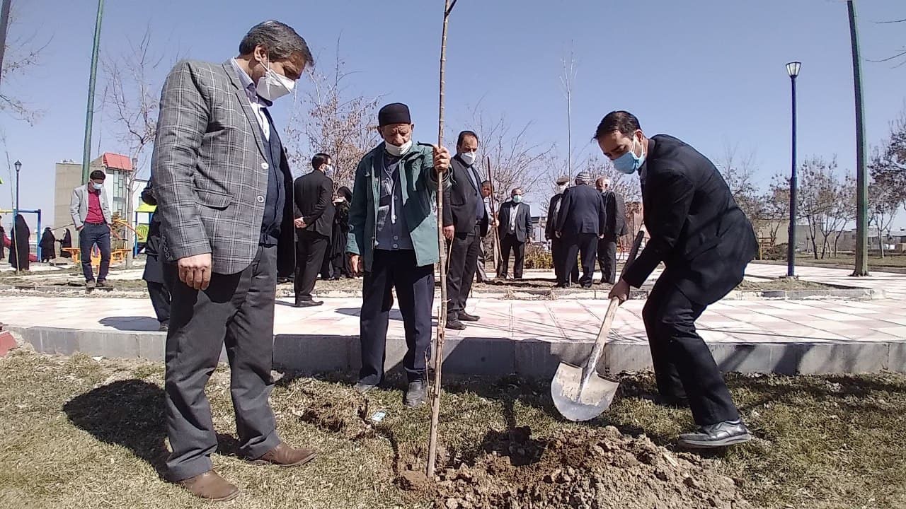 کاشت نهال به مناسبت هفته درختکاری در صالح آباد + فیلم