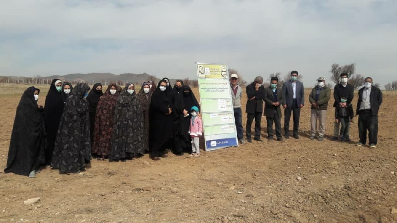 راه‌اندازی ۶ سایت کشت گیاهان دارویی ویژه زنان روستایی در استان قزوین