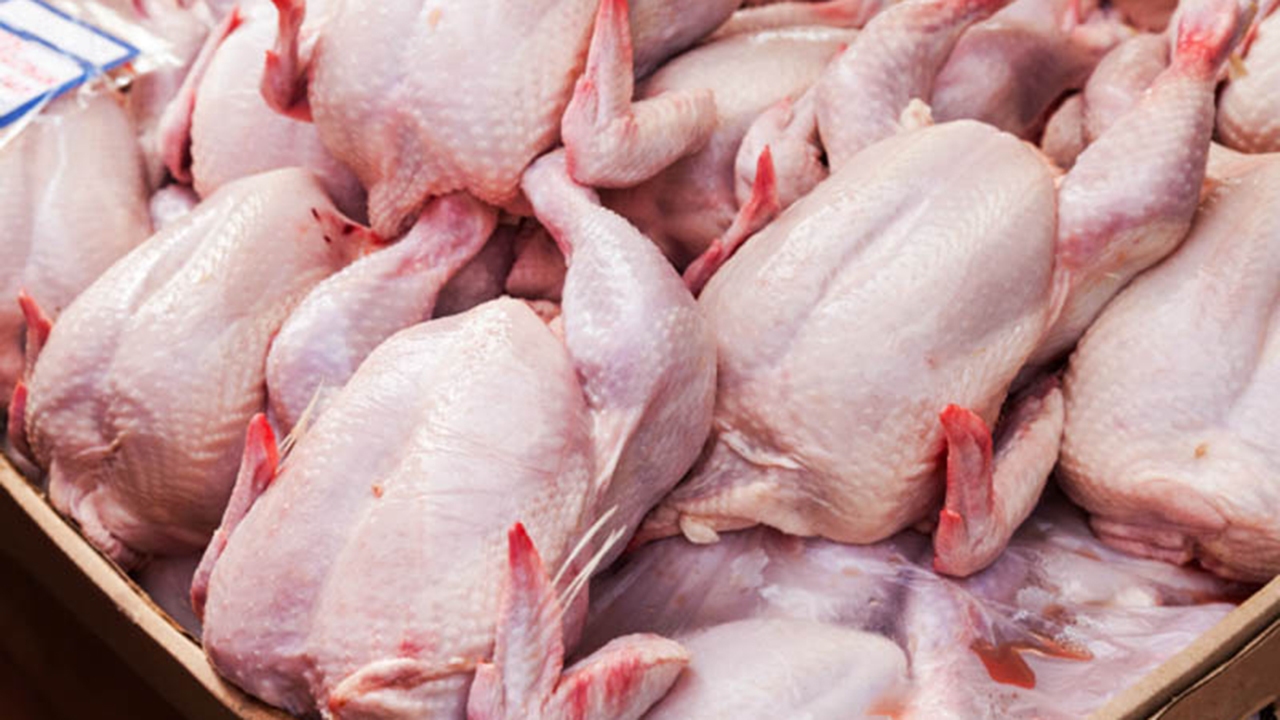 ️روزانه ۲۰۰ تن مرغ در استان توزیع خواهد شد