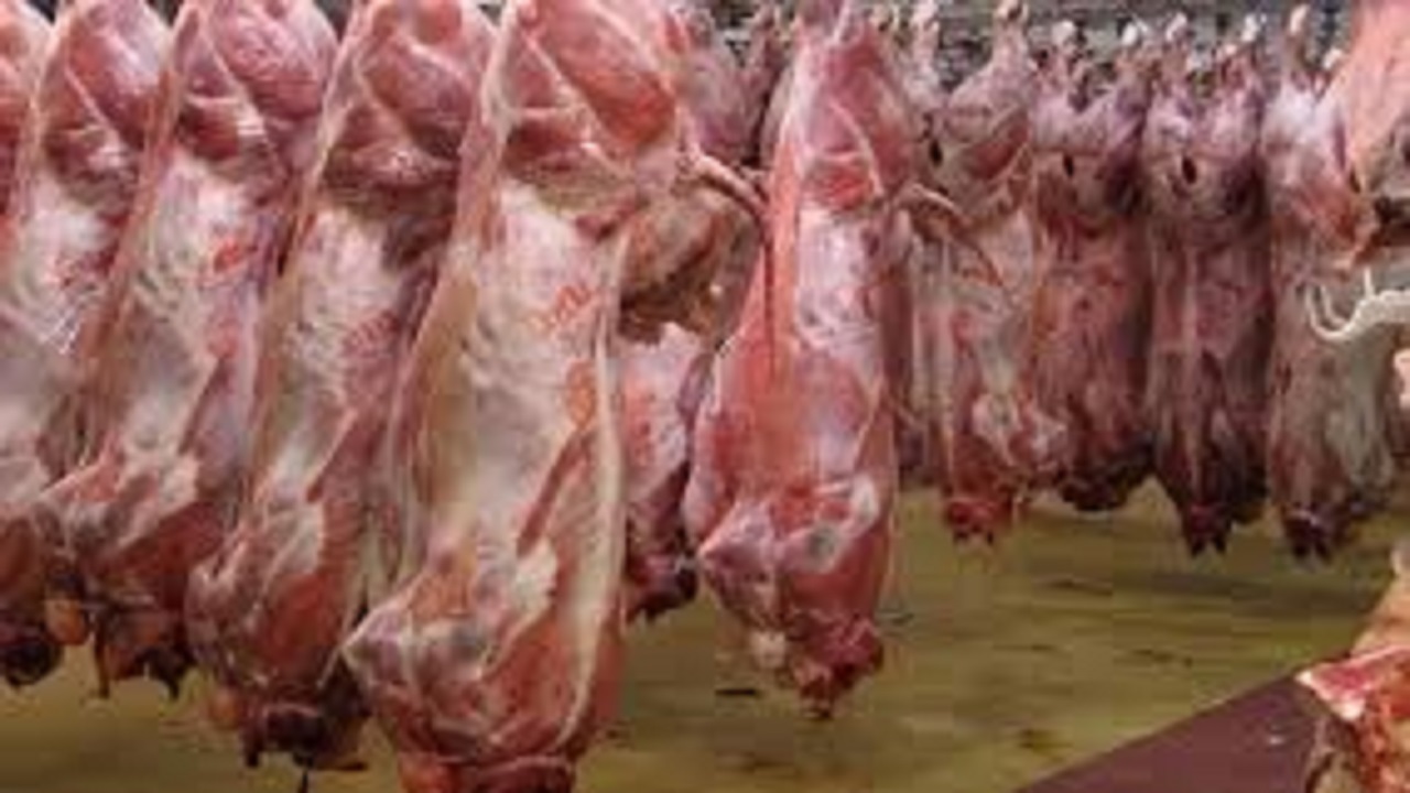 عامل گرانی گوشت در بازار چیست؟