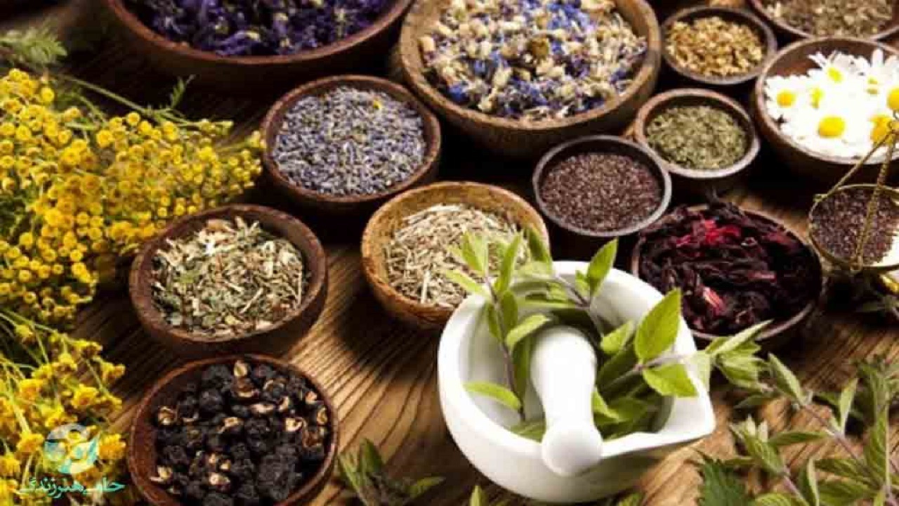 رتبه پنجم ایران از نظر تنوع گیاهی در جهان/ تسهیلات ویژه وزارت کار برای کارآفرینان در گیاهان دارویی