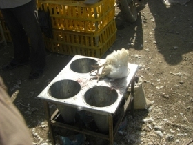 تشکیل پرونده برای ۳ مرغ فروشی متخلف در بهبهان