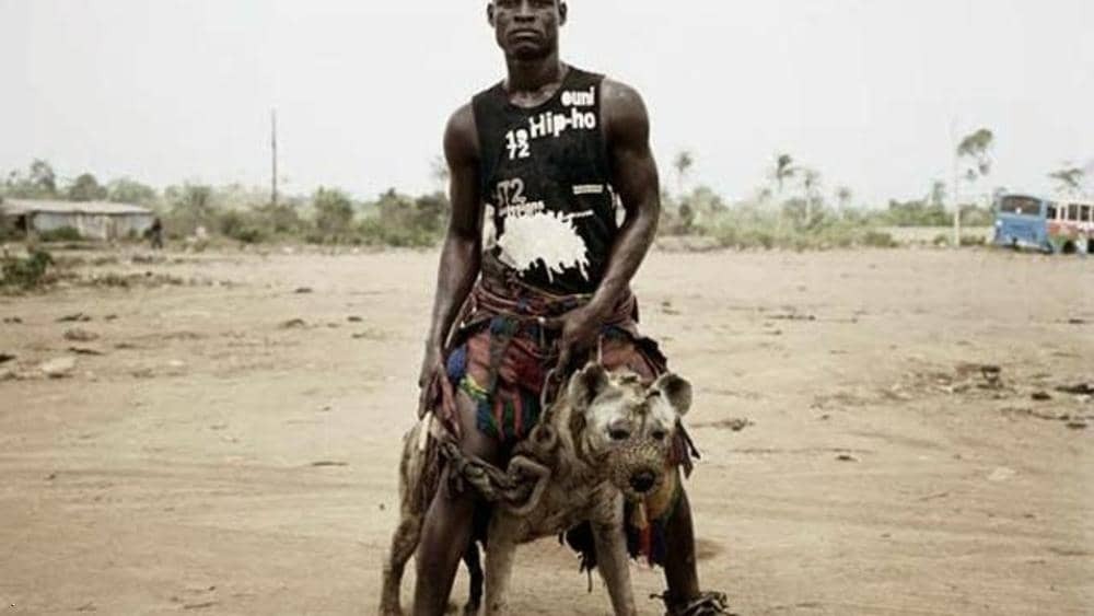 «مبارزه با کفتارها» راه و رسم عجیب قبیله‌ای در نیجریه+ تصاویر