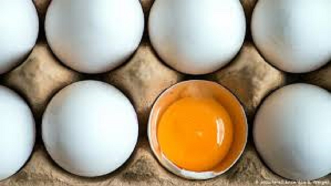 نرخ مصوب تخم مرغ چقدر است؟