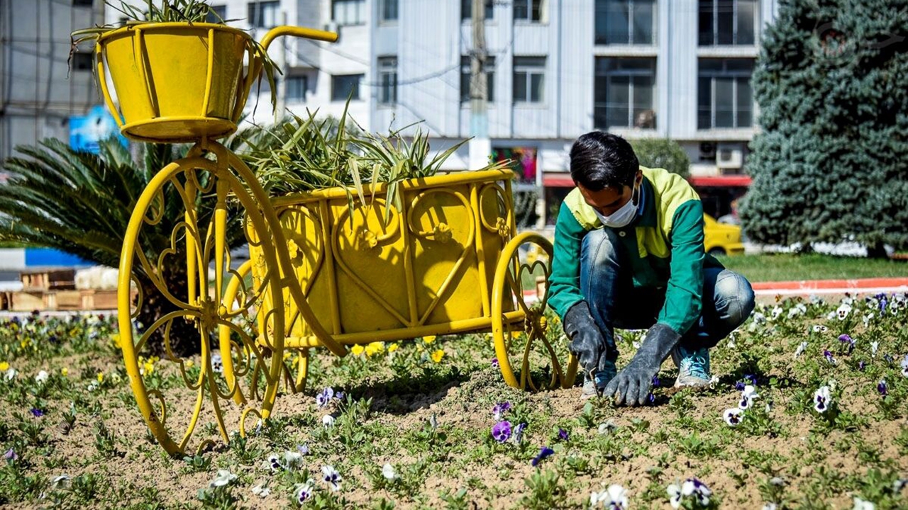 شهرداری شیراز با کاشت ٣۵٠ هزار گل و گیاه به استقبال نوروز رفت