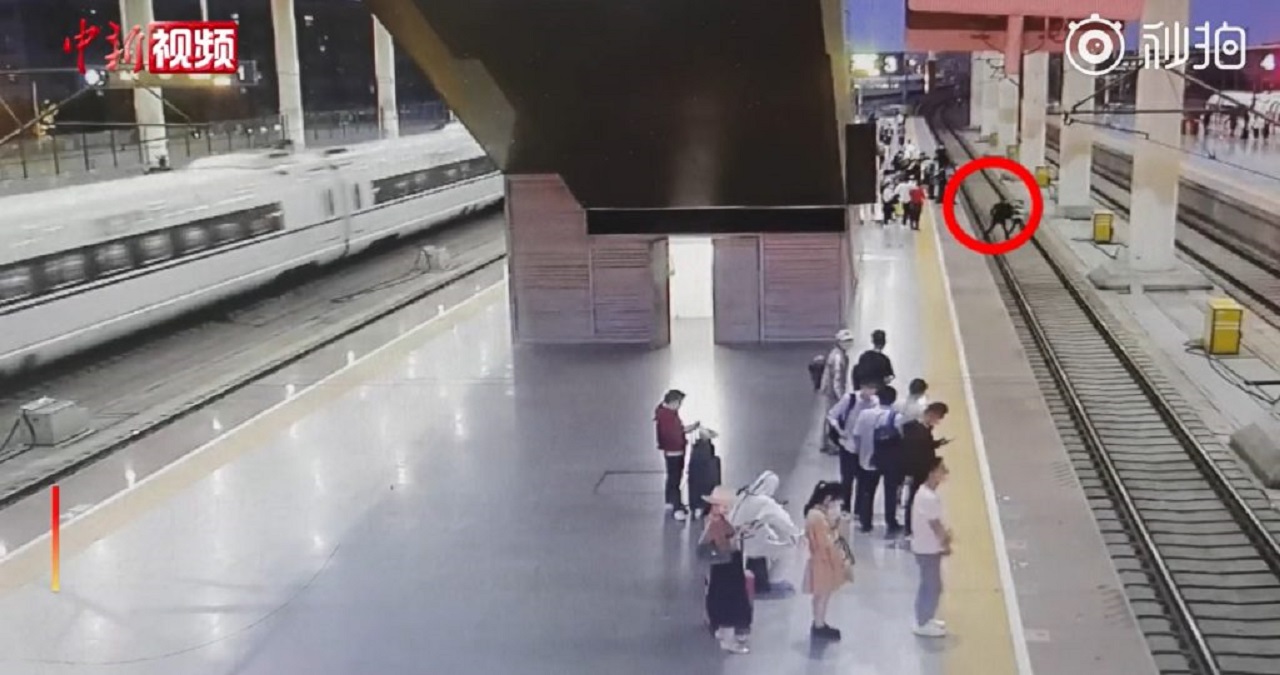 جروبحث زناشویی زوج چینی روی ریل قطار مترو!