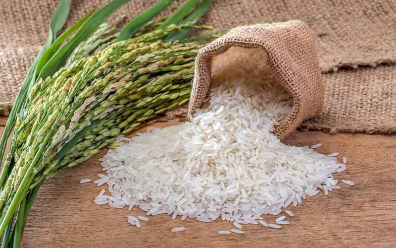 برنج‌های وارداتی معطل تخصیص ارز در گمرک