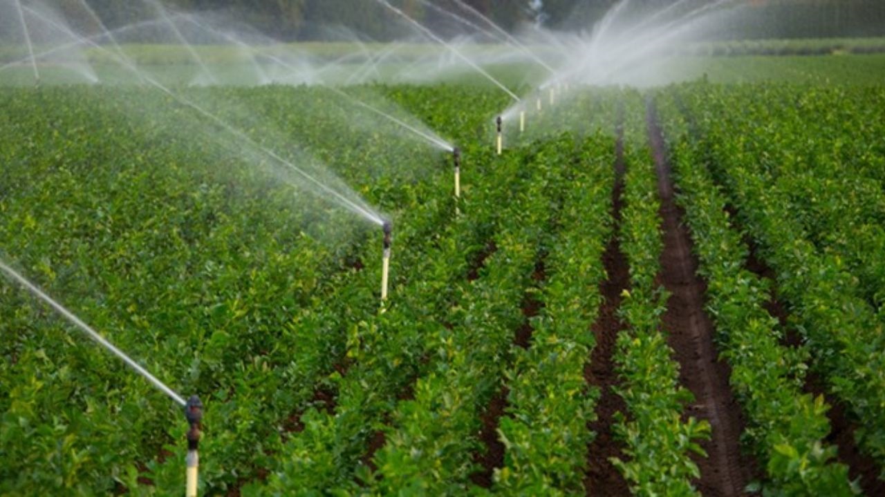 تجهیز ۲۶ هزار هکتاری اراضی کشاورزی  به سیستم‌های نوین آبیاری