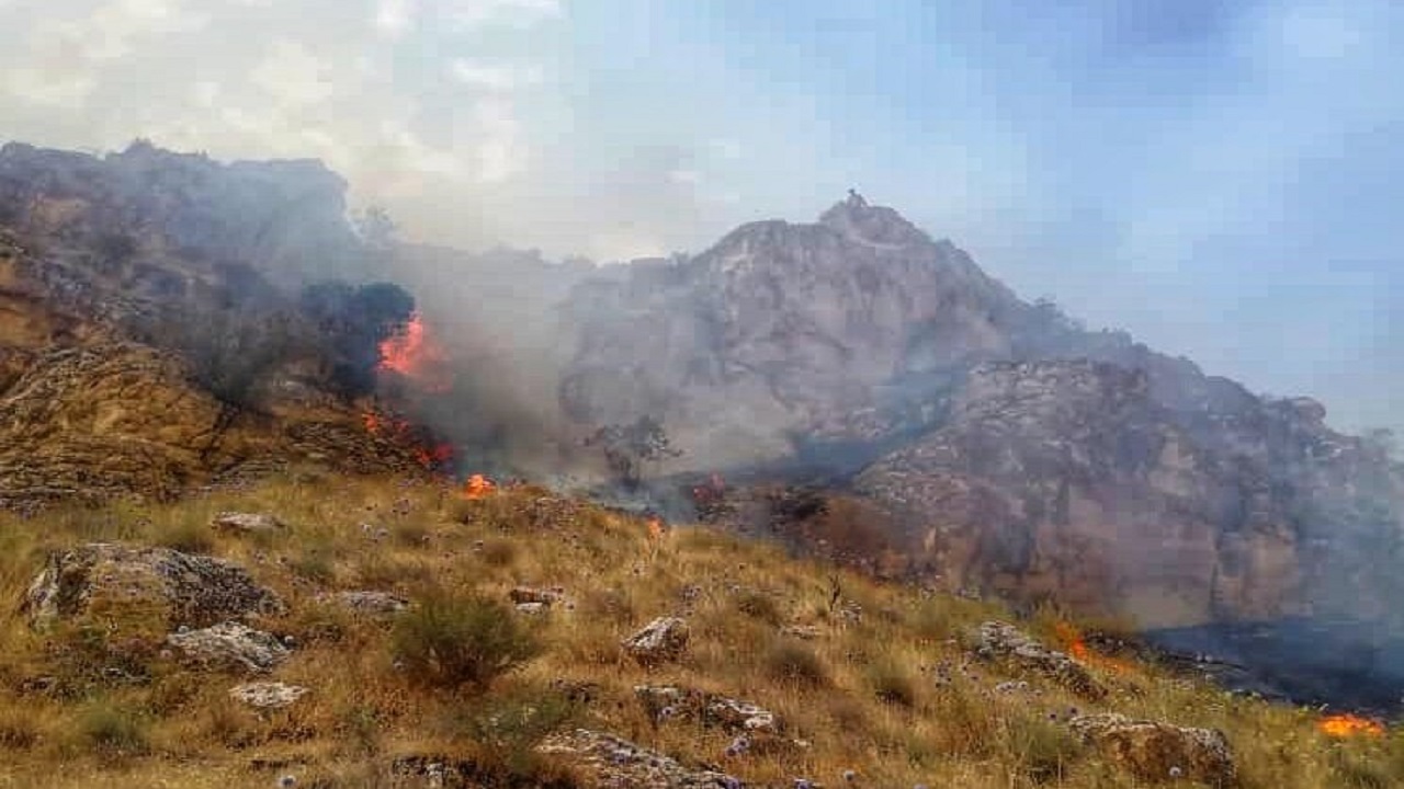 تلاش برای مهار کامل آتش‌سوزی در کوه سیاه دشتستان ادامه دارد