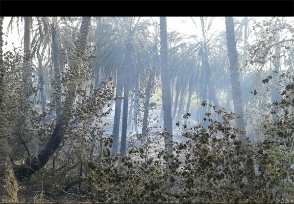 مهار آتش در عنبرآباد پس از ۱۲ ساعت/ بیش از ۴۵ هکتار از اراضی عنبرآباد خاکستر شدند