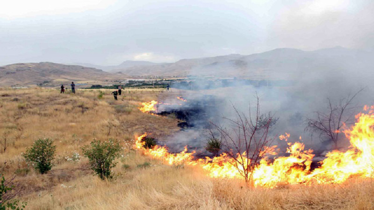 مهار آتش سوزی در منابع طبیعی فراشبند