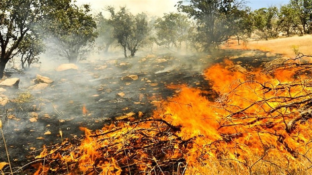 جولان بی امان آتش در مراتع و جنگل‌ها با گرم شدن هوا