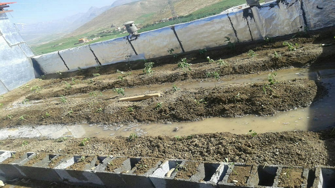 ایجاد پشت بام‌های سبز در شهرستان کوهرنگ با کمک بانوان