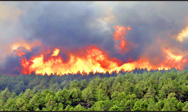 مراتع و جنگل‌های داریان و هجیج همچنان در آتش می‌سوزد