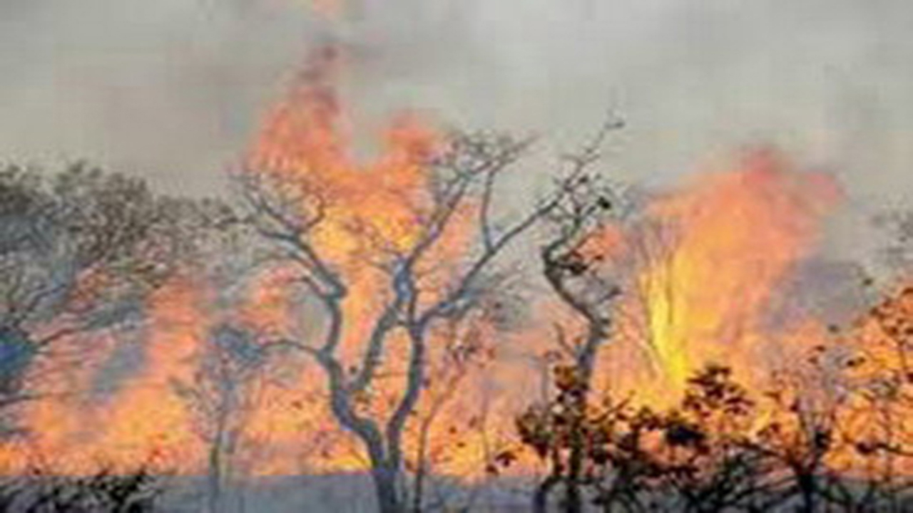 مهار آتش سوزی در منطقه دوان کازرون