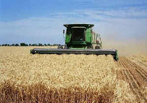 پیش بینی برداشت ۵۸۰ هزار تن گندم در استان اردبیل