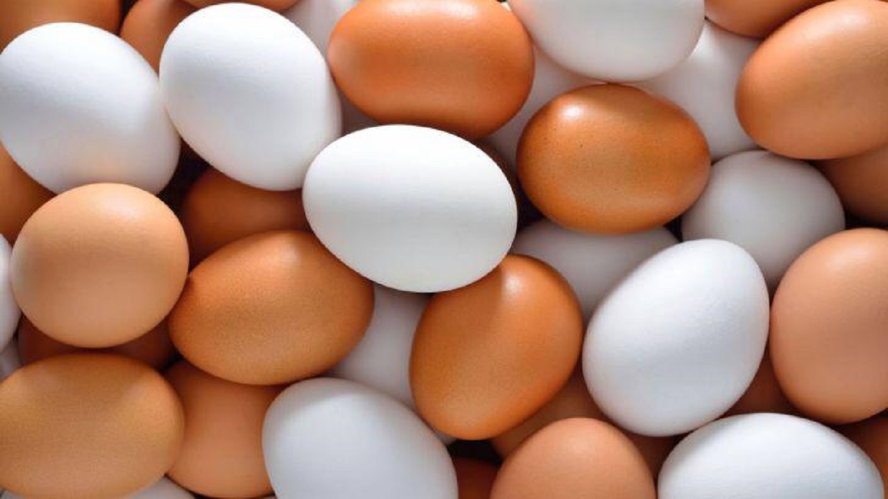 تخم مرغ خارج از یخچال را نخرید/چگونه تخم مرغ فاسد را شناسایی کنیم؟
