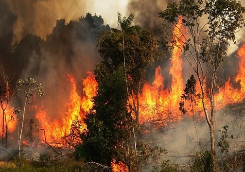کشاورزان دست نگه دارند/آتش زدن «کاه و کلش» غنا زمین را از بین می برد