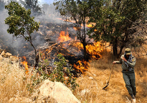 افزایش ۵۰ درصدی وقوع آتش سوزی در مراتع هرمزگان
