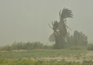 جدال باد و خاک در آسمان خوزستان