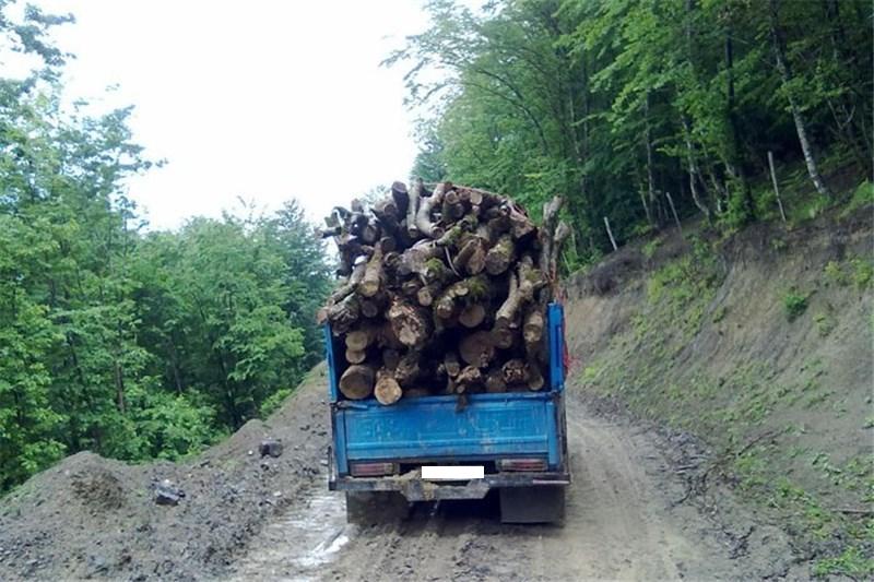 کشف بیش از ۱۱ تن چوب جنگلی قاچاق در گیلان