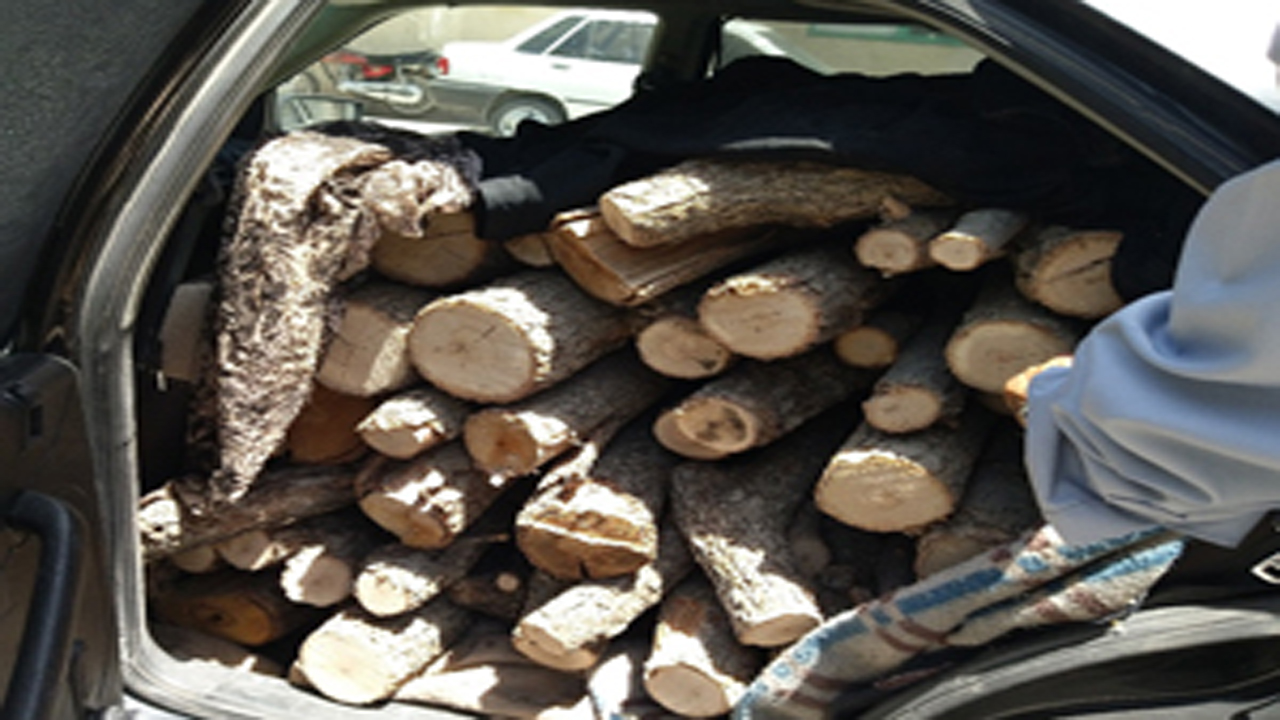 توقیف دو دستگاه خودرو حامل چوب جنگلی غیرمجاز