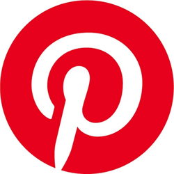دانلود Pinterest 8.21.0 - برنامه شبکه اجتماعی پینترست