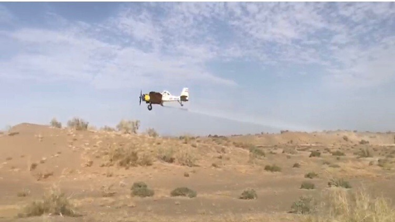 پرواز هواپیمای سمپاش برای نابودی ملخ صحرایی مهاجر درایرانشهر